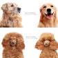 ⏳Limited Time Promotion 50% OFF 🎉 #1 in UK Pet Grooming 2026 🏆Professional Double-Sided Deshedding Brush for Dogs & Cats – Reduces Shedding by 90%💪