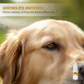 🏆LAST DAY BUY 1 GET 1 FREE!!🔥Gentle Pet Eye Drops🐕
