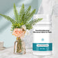 ⏳Limited-time 50% off⏰Powerful Antibacterial Effervescent Tablets for Flowers