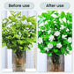 ⏳Limited-time 50% off⏰Powerful Antibacterial Effervescent Tablets for Flowers