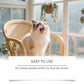 📢📢Last Day Promotion 60% Off!!⏰Gentle Pet Oral Care Spray