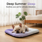 🔥LAST DAY SALE ONLY￡8.99!!❄Pet Cooling Mat for Dogs & Cats 🐾  Naturally Cool Ice-Silk Pad Breathable, Washable & Soft 🌿  For Floors, Sofas & Car Travel ☀️🐶🐱