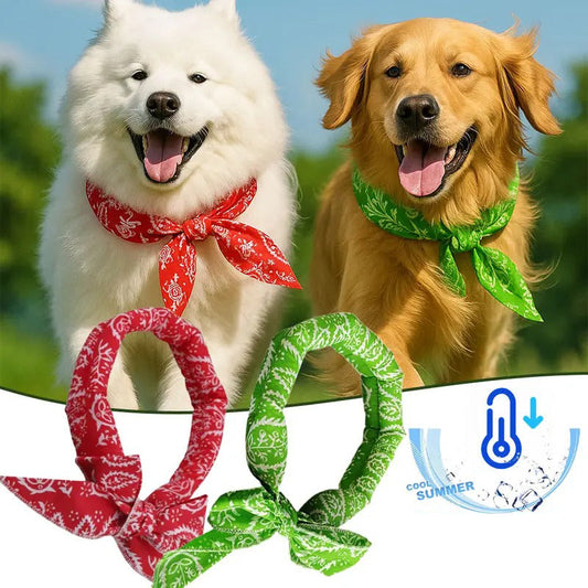 ⏳ BUY 1 GET 1 FREE!! ONLY￡7.99!!🎀 Cooling Collar – Summer Relief for Dogs & Cats 🌞❄️  Vet-Safe • Reusable • No Freezer Needed • Made for British Heatwaves!