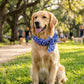⏳ BUY 1 GET 1 FREE!! ONLY￡7.99!!🎀 Cooling Collar – Summer Relief for Dogs & Cats 🌞❄️  Vet-Safe • Reusable • No Freezer Needed • Made for British Heatwaves!