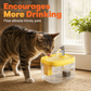🎁🔥Last day sale 50% OFF🔥Silent Pet Drinking Dispenser with Food-Grade PET Bowl