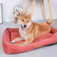 ⏳LAST DAY SALE 60% OFF !!📢📢Chew Proof Waterproof Dog Bed