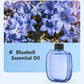 🥇Hot Sale - 50% OFF🌿Automatic Fragrance Spray for Home